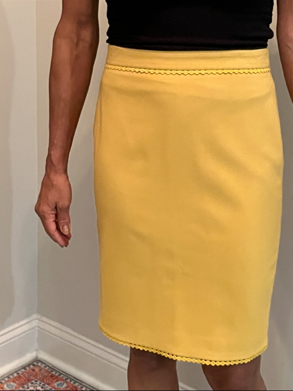 NWT Anne Taylor Pencil Skirt